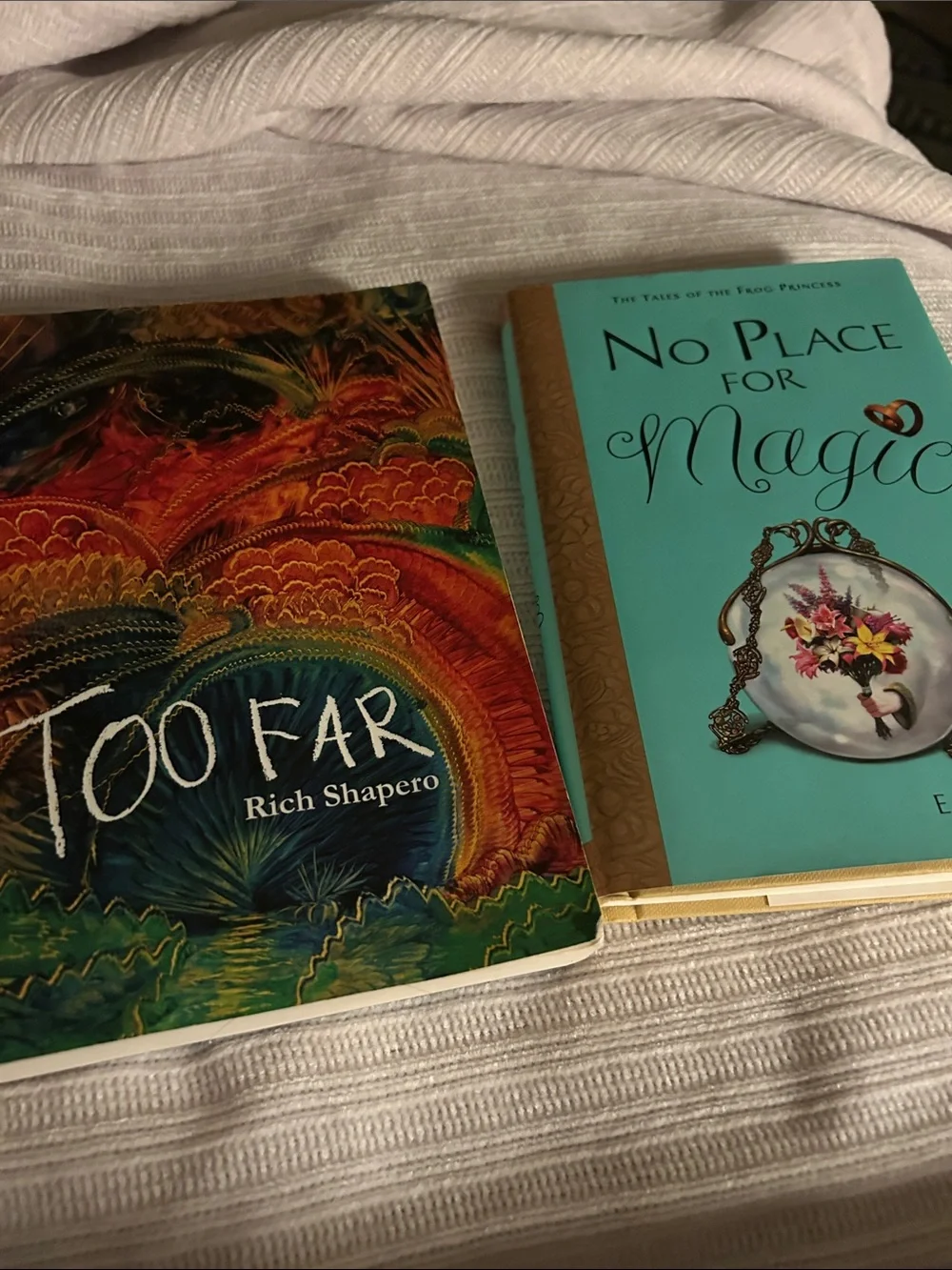 No Place for Magic Teal Hardcover Book by E.D. (Set with Too Far)